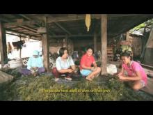 Embedded thumbnail for BaKTI-MAMPU Meretas Jalan Penanggulangan Kemiskinan di Bone